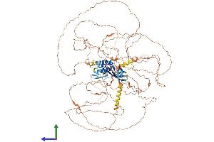 Protein Structure (PS) image for Chromosome 11 Open Reading Frame 82 (C11orf82) (AA 1-998) protein (His tag) (ABIN7546968)