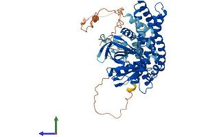 Protein Structure (PS) image for Cdc42 Guanine Nucleotide Exchange Factor (GEF) 9 (Arhgef9) (AA 1-516) protein (His tag) (ABIN7552206)