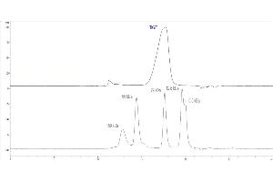 High Pressure Liquid Chromatography (HPLC) image for T Cell Immunoreceptor with Ig and ITIM Domains (TIGIT) (AA 89-208) (Active) protein (His tag) (ABIN4949059)