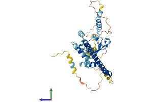 AlphaFold protein structure predicition of Human Recombinant DNAJC18 Protein, UniprotID Q9H819 (DNAJC18 Protein (AA 1-358) (His tag))