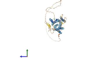 Protein Structure (PS) image for Solute Carrier Family 39 (Zinc Transporter), Member 7 (SLC39A7) (AA 1-476) protein (His tag) (ABIN7557018)