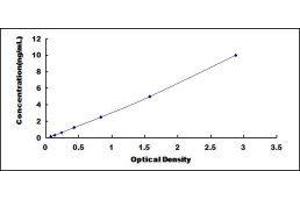 Protocadherin gamma Subfamily A, 2 (PCDHGA2) ELISA Kit