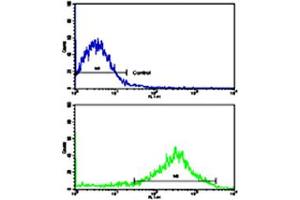 Flow cytometric analysis of NCI-H292 cells using OPRS1 polyclonal antibody (bottom histogram) compared to a negative control cell (top histogram). (SIGMAR1 抗体  (N-Term))