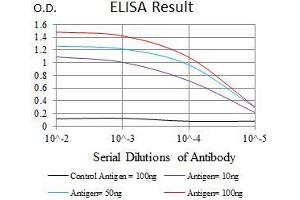 Black line: Control Antigen (100 ng), Purple line: Antigen(10 ng), Blue line: Antigen (50 ng), Red line: Antigen (100 ng), (EGFR Mutant (AA 693-893) 抗体)