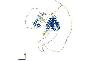 AlphaFold protein structure predicition of Human Recombinant TERF2 Protein, UniprotID Q15554