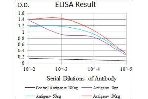 ELISA image for anti-GATA Binding Protein 6 (GATA6) (AA 491-557) antibody (ABIN1846324) (GATA6 抗体  (AA 491-557))