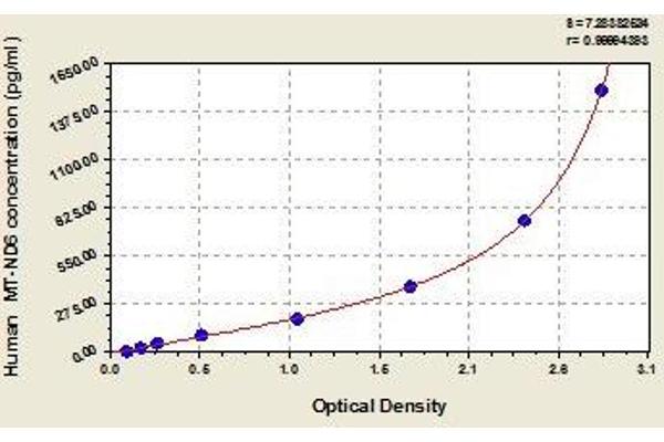 MT-ND6 ELISA 试剂盒