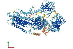 Protein Structure (PS) image for ATPase, Class I, Type 8A, Member 1 (ATP8A1) (AA 1-1164) protein (His tag) (ABIN7552437)