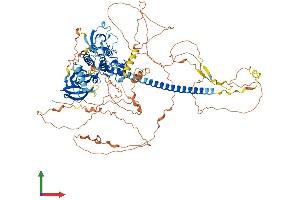 Protein Structure (PS) image for Mitogen-Activated Protein Kinase Kinase Kinase 10 (MAP3K10) (AA 1-954) protein (His tag) (ABIN7549265)