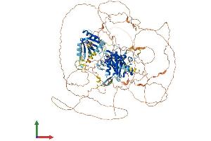 AlphaFold protein structure predicition of Mouse Recombinant Senp6 Protein, UniprotID Q6P7W0 (SENP6 Protein (AA 1-1132) (His tag))
