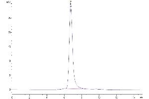 Size-exclusion chromatography-High Pressure Liquid Chromatography (SEC-HPLC) image for Interleukin-17 A/F Heterodimer (IL-17A/F) (AA 26-158) protein (His-Avi Tag) (ABIN7274968)