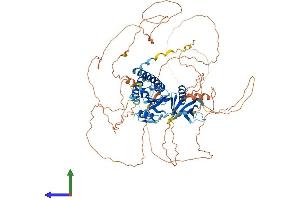 Protein Structure (PS) image for SH2B Adaptor Protein 1 (SH2B1) (AA 1-756) protein (His tag) (ABIN7564832)