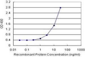 Sandwich ELISA detection sensitivity ranging from 1 ng/mL to 100 ng/mL. (PPP3R2 (人) Matched Antibody Pair)