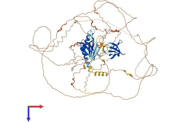 IB2 Protein (AA 1-830) (His tag)