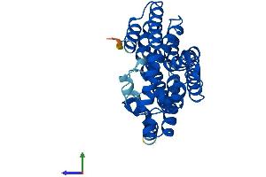 Protein Structure (PS) image for Geranylgeranyl Diphosphate Synthase 1 (GGPS1) (AA 1-300) protein (His tag) (ABIN7547977)