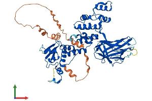 AlphaFold protein structure predicition of Mouse Recombinant Btbd3 Protein, UniprotID P58545