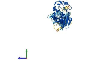 AlphaFold protein structure predicition of Human Recombinant MLKL Protein, UniprotID Q8NB16