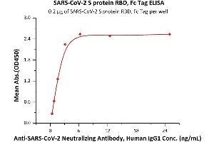 ELISA image for SARS-CoV-2 Spike S1 (RBD) protein (Fc Tag) (ABIN6952462)