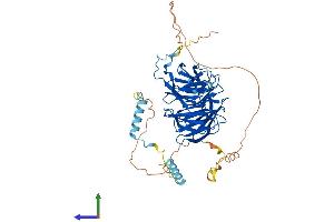 Protein Structure (PS) image for Pleiotropic Regulator 1 (PLRG1) (AA 1-514) protein (His tag) (ABIN7550787)