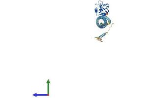 Protein Structure (PS) image for C-Type Lectin Domain Family 4, Member F (CLEC4F) (AA 1-548) protein (His tag) (ABIN7556673)