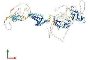 AlphaFold protein structure predicition of Human Recombinant CNNM1 Protein, UniprotID Q9NRU3