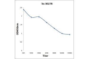 Antigen: 0. (PRKAB1 抗体  (pSer182))