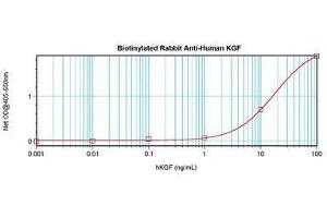 Image no. 1 for anti-Fibroblast Growth Factor 7 (FGF7) antibody (Biotin) (ABIN464856) (FGF7 抗体  (Biotin))