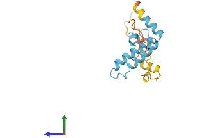 Protein Structure (PS) image for DnaJ (Hsp40) Homolog, Subfamily B, Member 3 (DNAJB3) (AA 1-145) protein (His tag) (ABIN7547153)