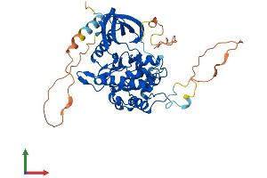 Protein Structure (PS) image for STE20-Related Kinase Adaptor alpha (STRADA) (AA 1-431) protein (His tag) (ABIN7546375)
