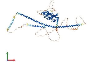 Protein Structure (PS) image for Kazrin (KAZ) (AA 1-775) protein (His tag) (ABIN7548623)