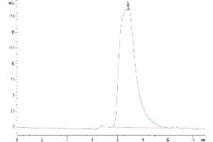 Size-exclusion chromatography-High Pressure Liquid Chromatography (SEC-HPLC) image for Prostaglandin F2 Receptor Negative Regulator (PTGFRN) (AA 22-832) protein (His tag) (ABIN7274275)