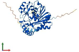 AlphaFold protein structure predicition of Mouse Recombinant Nsun3 Protein, UniprotID Q8CCT7