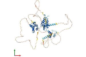 AlphaFold protein structure predicition of Mouse Recombinant Brd3 Protein, UniprotID Q8K2F0