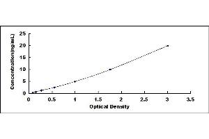 Typical standard curve (alpha 1 Adrenergic Receptor ELISA 试剂盒)