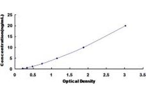 Typical standard curve (PLIN4 ELISA 试剂盒)