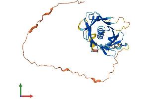 AlphaFold protein structure predicition of Human Recombinant PLSCR2 Protein, UniprotID Q9NRY7