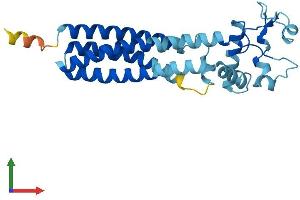 Protein Structure (PS) image for Uroplakin 1a (UPK1A) (AA 1-258) protein (His tag) (ABIN7544955)