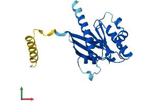 Protein Structure (PS) image for ADP-Ribosylation Factor-Like 15 (ARL15) (AA 1-204) protein (His tag) (ABIN7552270)