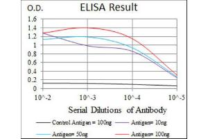 ELISA image for anti-Hyaluronan Synthase 3 (HAS3) antibody (ABIN1845757) (HAS3 抗体)