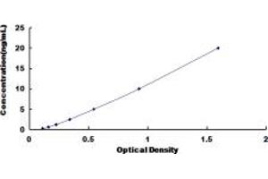 Typical standard curve (COL12A1 ELISA 试剂盒)