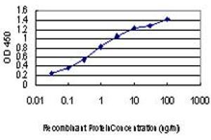 Detection limit for recombinant GST tagged TTN is approximately 0. (Titin 抗体  (AA 1-110))