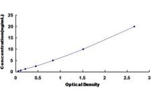 Typical standard curve (IQGAP1 ELISA 试剂盒)