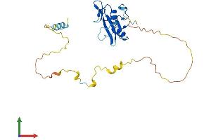 Protein Structure (PS) image for Src Homology 2 Domain Containing F (SHF) (AA 1-238) protein (His tag) (ABIN7559320)