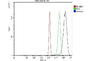 Flow Cytometry analysis of U20S cells using anti-GATA6 antibody (ABIN7599662).