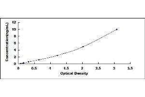 Typical standard curve (GBP5 ELISA 试剂盒)
