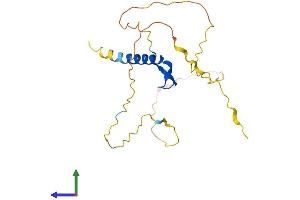 Protein Structure (PS) image for B-Cell CLL/lymphoma 7B (BCL7B) (AA 1-202) protein (His tag) (ABIN7552635)