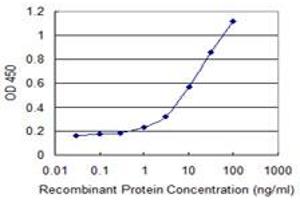ELISA image for anti-UDP-GlcNAc:betaGal beta-1,3-N-Acetylglucosaminyltransferase 3 (B3GNT3) (AA 135-208) antibody (ABIN523730)