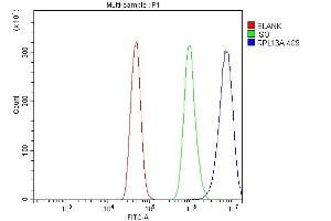 Flow Cytometry analysis of A431 cells using anti-RPL13A antibody (ABIN7600471).