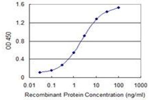 ELISA image for anti-Apoptosis Antagonizing Transcription Factor (AATF) (AA 151-250) antibody (ABIN525751)