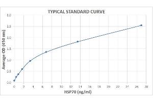 Typical Standard Curve for the HSP70 ELISA Kit (High-Sensitivity) (Enzyme-Linked Immunosorbent Assay). (HSP70 ELISA 试剂盒)